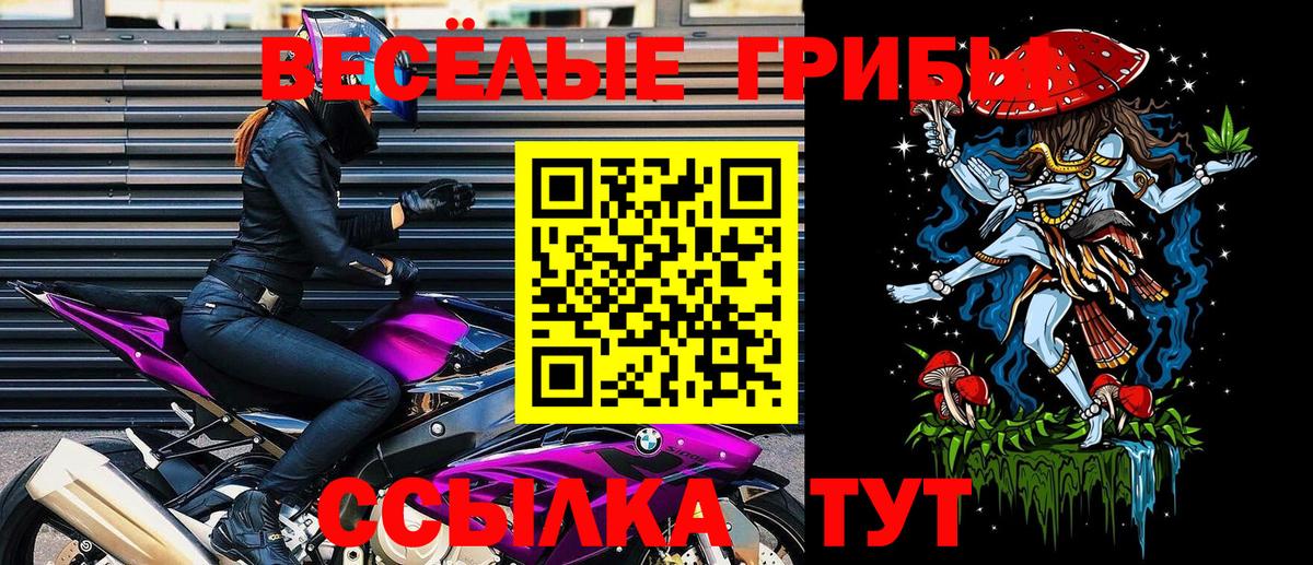 Псилоцибиновые грибы Psilocybe  Вход с VPN  Соль-Илецк  Псилоцибиновые грибы Psilocybine cubensis 
